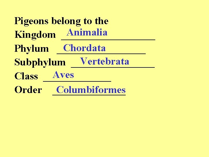 Pigeons belong to the Animalia Kingdom _________ Chordata Phylum _________ Vertebrata Subphylum ________ Aves