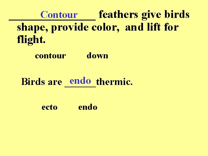________ feathers give birds Contour shape, provide color, and lift for flight. contour down