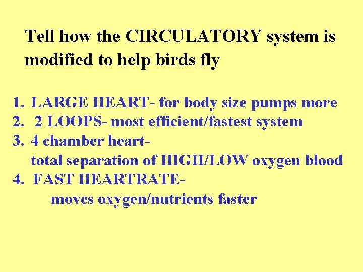 Tell how the CIRCULATORY system is modified to help birds fly 1. LARGE HEART-