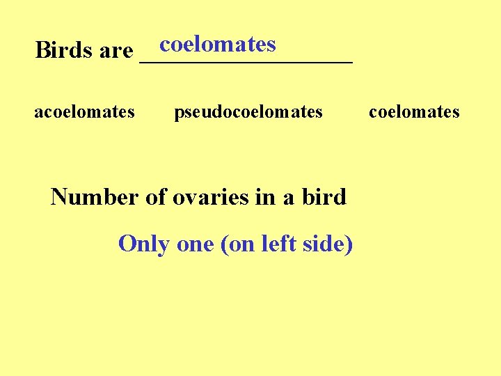 coelomates Birds are _________ acoelomates pseudocoelomates Number of ovaries in a bird Only one