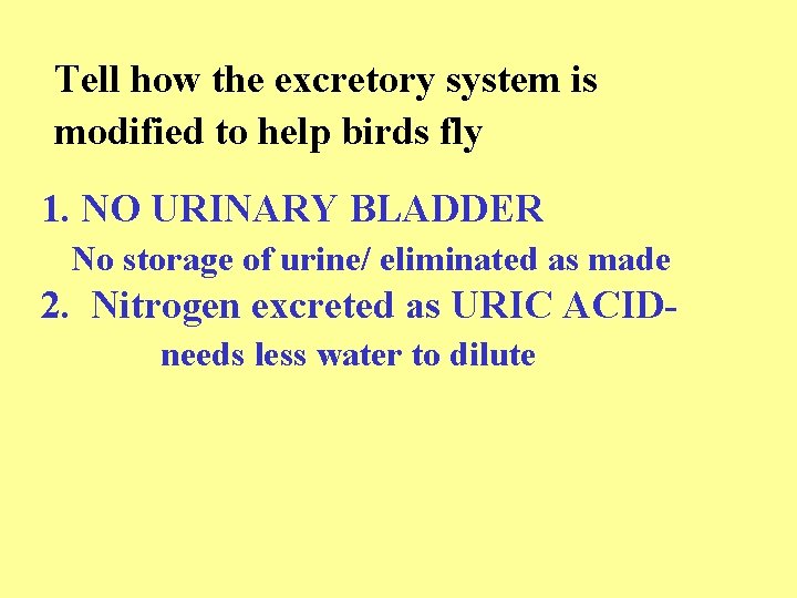 Tell how the excretory system is modified to help birds fly 1. NO URINARY