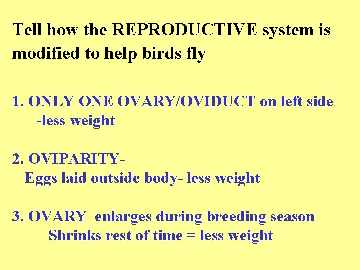 Tell how the REPRODUCTIVE system is modified to help birds fly 1. ONLY ONE