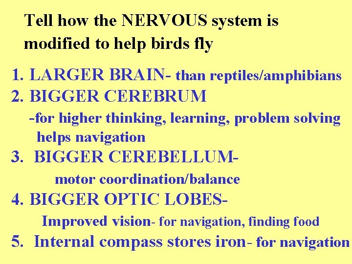 Tell how the NERVOUS system is modified to help birds fly 1. LARGER BRAIN-