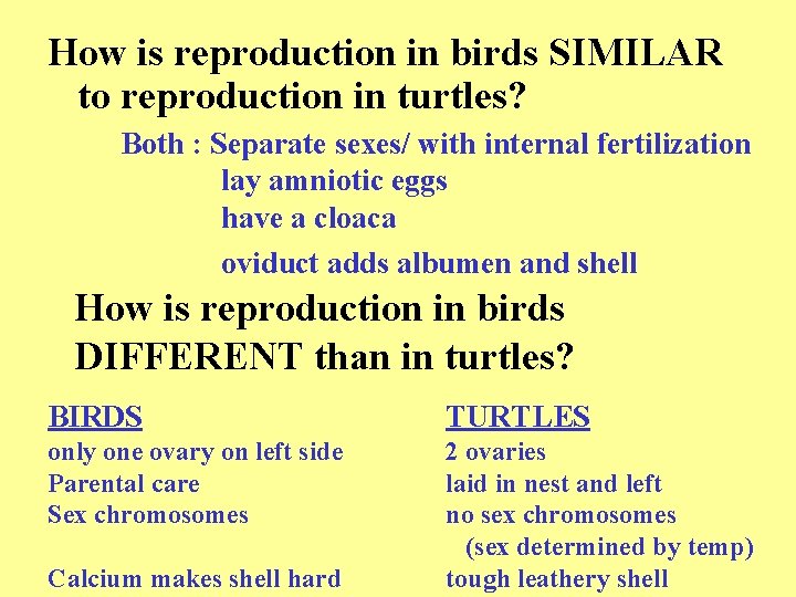 How is reproduction in birds SIMILAR to reproduction in turtles? Both : Separate sexes/