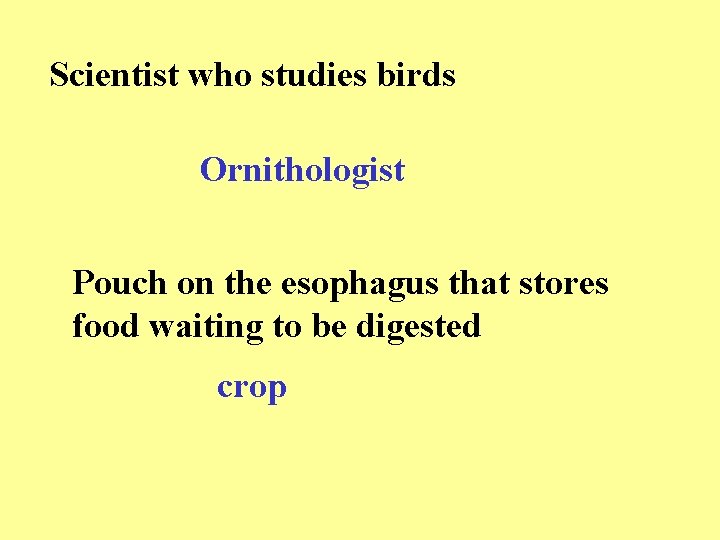 Scientist who studies birds Ornithologist Pouch on the esophagus that stores food waiting to