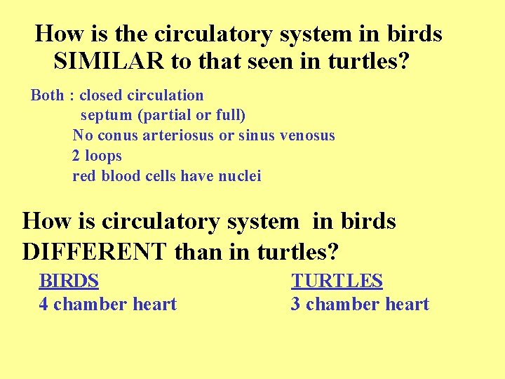 How is the circulatory system in birds SIMILAR to that seen in turtles? Both