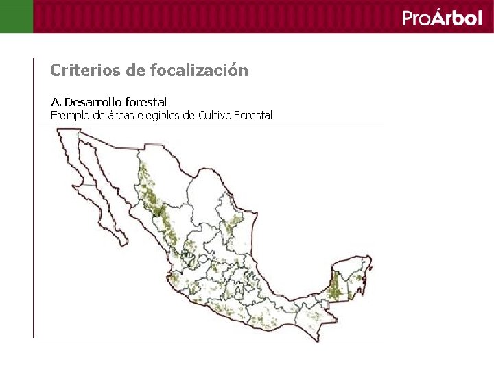 Criterios de focalización A. Desarrollo forestal Ejemplo de áreas elegibles de Cultivo Forestal 