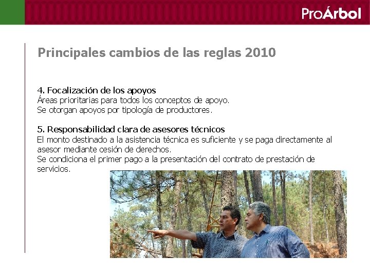 Principales cambios de las reglas 2010 4. Focalización de los apoyos Áreas prioritarias para