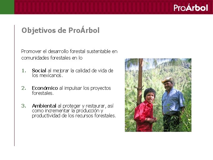 Objetivos de ProÁrbol Promover el desarrollo forestal sustentable en comunidades forestales en lo 1.