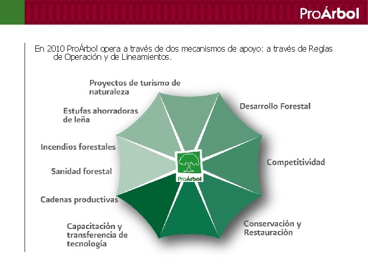 En 2010 ProÁrbol opera a través de dos mecanismos de apoyo: a través de