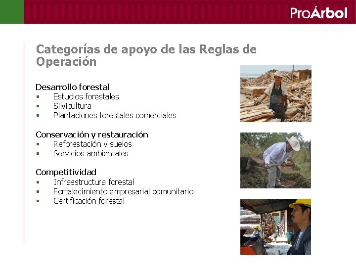 Categorías de apoyo de las Reglas de Operación Desarrollo forestal § Estudios forestales §