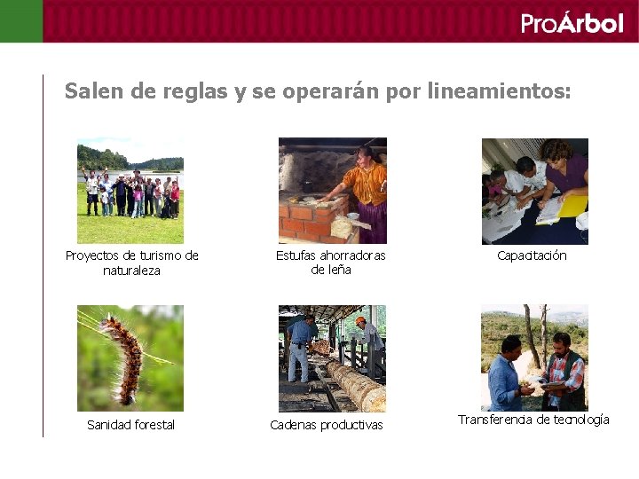 Salen de reglas y se operarán por lineamientos: Proyectos de turismo de naturaleza Sanidad