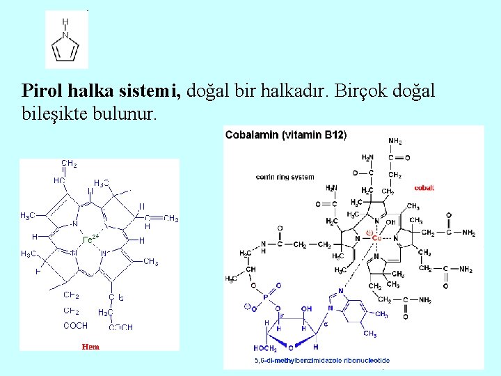 Pirol halka sistemi, doğal bir halkadır. Birçok doğal bileşikte bulunur. 