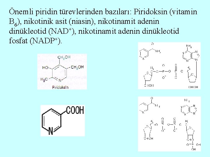 Önemli piridin türevlerinden bazıları: Piridoksin (vitamin B 6), nikotinik asit (niasin), nikotinamit adenin dinükleotid