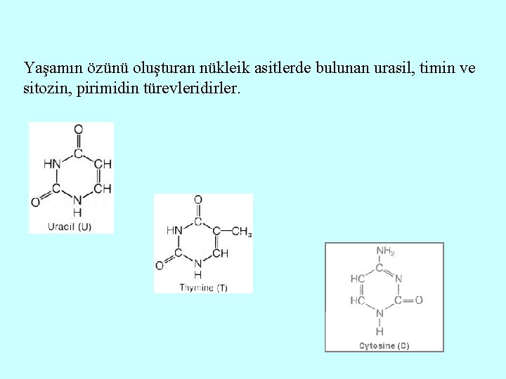 Yaşamın özünü oluşturan nükleik asitlerde bulunan urasil, timin ve sitozin, pirimidin türevleridirler. 