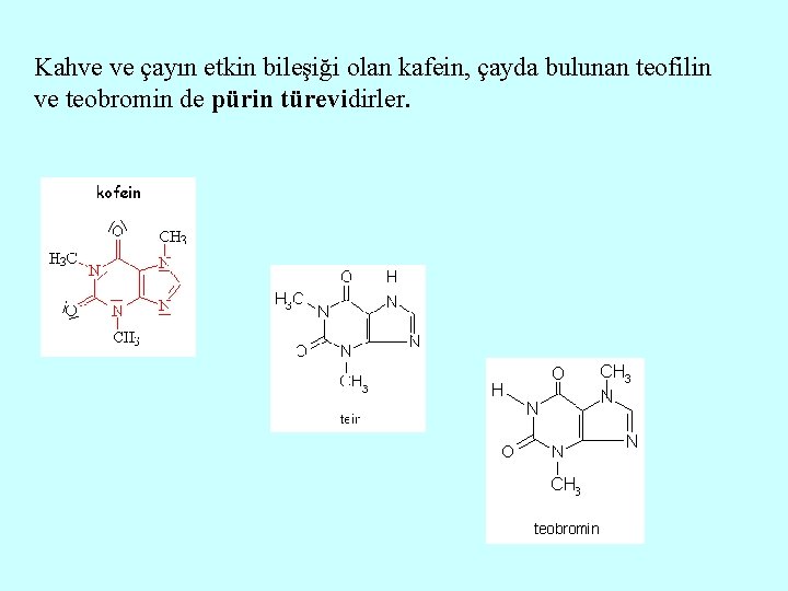 Kahve ve çayın etkin bileşiği olan kafein, çayda bulunan teofilin ve teobromin de pürin