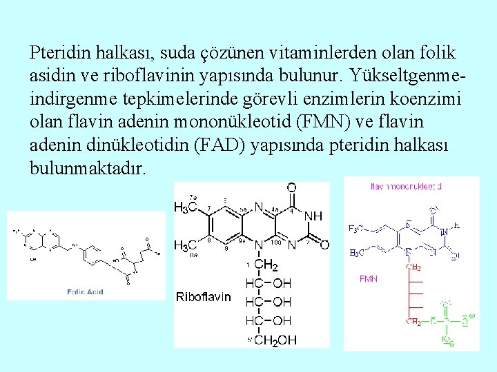 Pteridin halkası, suda çözünen vitaminlerden olan folik asidin ve riboflavinin yapısında bulunur. Yükseltgenmeindirgenme tepkimelerinde