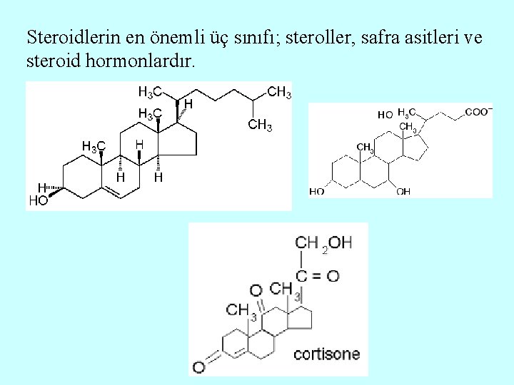 Steroidlerin en önemli üç sınıfı; steroller, safra asitleri ve steroid hormonlardır. 