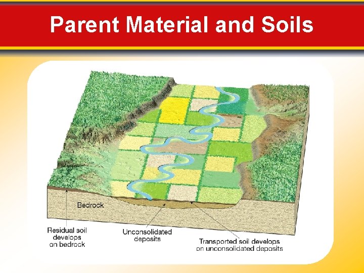 Parent Material and Soils 