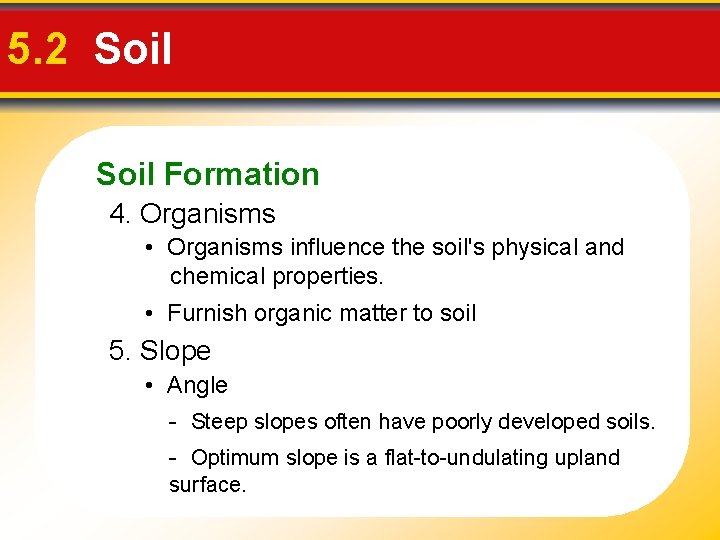 5. 2 Soil Formation 4. Organisms • Organisms influence the soil's physical and chemical