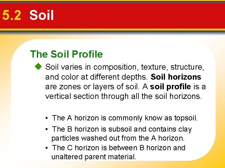 5. 2 Soil The Soil Profile Soil varies in composition, texture, structure, and color