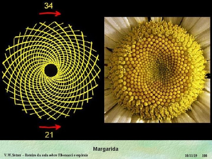 Margarida V. W. Setzer – Roteiro da aula sobre Fibonacci e espirais 10/11/19 100