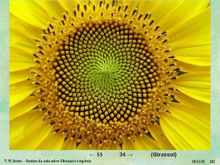  ← 55 34 → V. W. Setzer – Roteiro da aula sobre Fibonacci