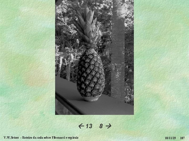  13 V. W. Setzer – Roteiro da aula sobre Fibonacci e espirais 8