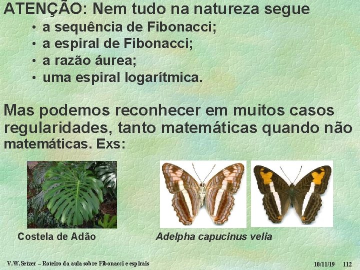 ATENÇÃO: Nem tudo na natureza segue • • a sequência de Fibonacci; a espiral