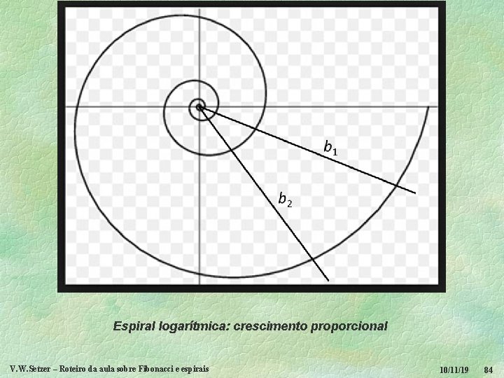 Espiral logarítmica: crescimento proporcional V. W. Setzer – Roteiro da aula sobre Fibonacci e