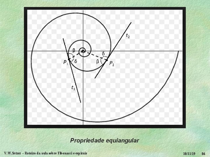 Propriedade equiangular V. W. Setzer – Roteiro da aula sobre Fibonacci e espirais 10/11/19