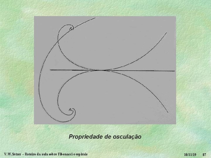 Propriedade de osculação V. W. Setzer – Roteiro da aula sobre Fibonacci e espirais