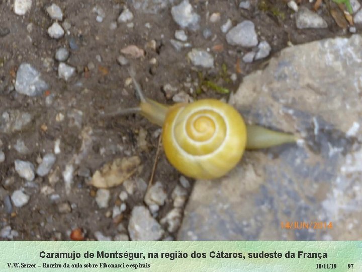 Caramujo de Montségur, na região dos Cátaros, sudeste da França V. W. Setzer –