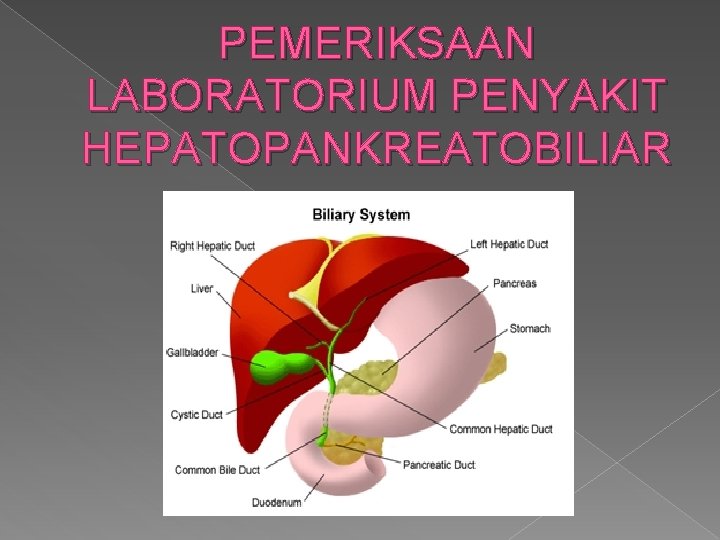 PEMERIKSAAN LABORATORIUM PENYAKIT HEPATOPANKREATOBILIAR 