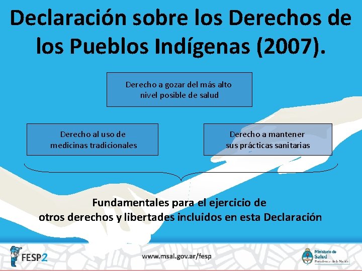 Declaración sobre los Derechos de los Pueblos Indígenas (2007). Derecho a gozar del más
