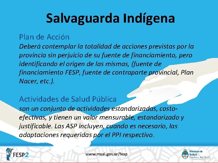 Salvaguarda Indígena Plan de Acción Deberá contemplar la totalidad de acciones previstas por la