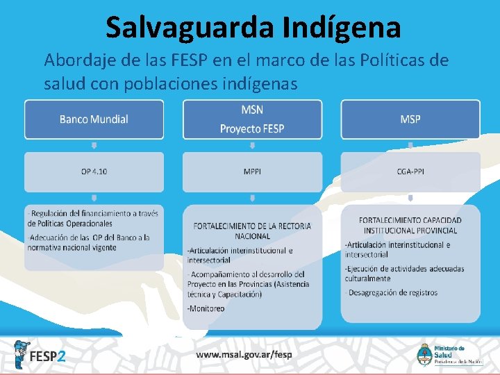 Salvaguarda Indígena Abordaje de las FESP en el marco de las Políticas de salud