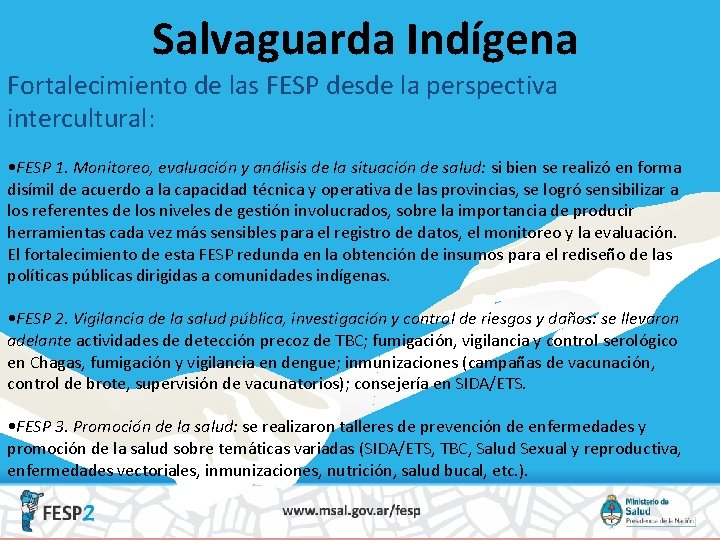 Salvaguarda Indígena Fortalecimiento de las FESP desde la perspectiva intercultural: • FESP 1. Monitoreo,