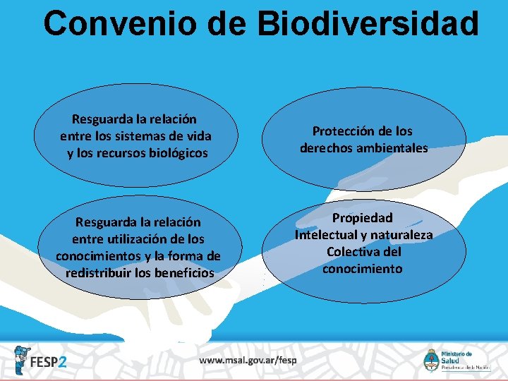 Convenio de Biodiversidad Resguarda la relación entre los sistemas de vida y los recursos