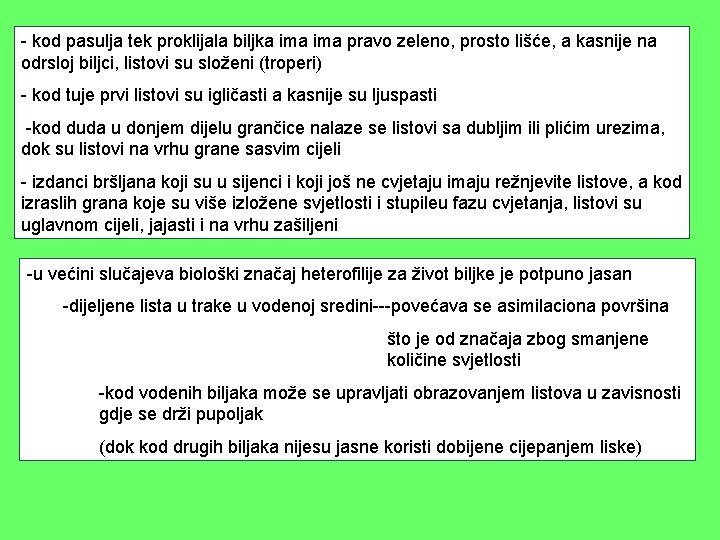 - kod pasulja tek proklijala biljka ima pravo zeleno, prosto lišće, a kasnije na - kod pasulja tek proklijala biljka ima pravo zeleno, prosto lišće, a kasnije na