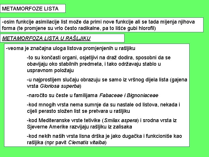 METAMORFOZE LISTA -osim funkcije asimilacije list može da primi nove funkcije ali se tada METAMORFOZE LISTA -osim funkcije asimilacije list može da primi nove funkcije ali se tada
