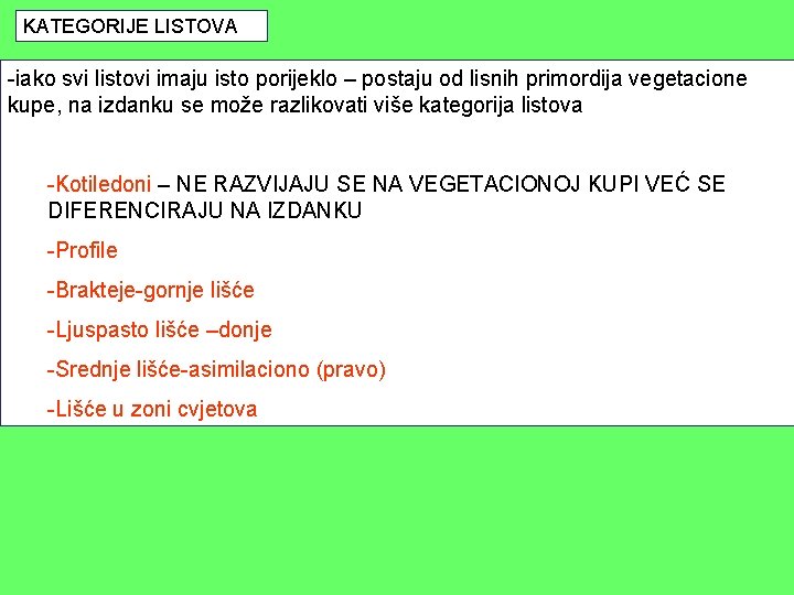 KATEGORIJE LISTOVA -iako svi listovi imaju isto porijeklo – postaju od lisnih primordija vegetacione KATEGORIJE LISTOVA -iako svi listovi imaju isto porijeklo – postaju od lisnih primordija vegetacione