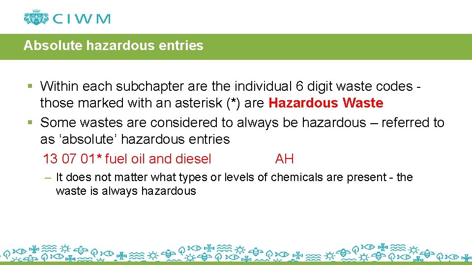 Absolute hazardous entries § Within each subchapter are the individual 6 digit waste codes