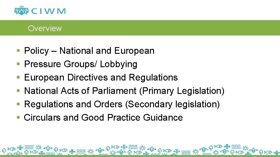 Overview § § § Policy – National and European Pressure Groups/ Lobbying European Directives