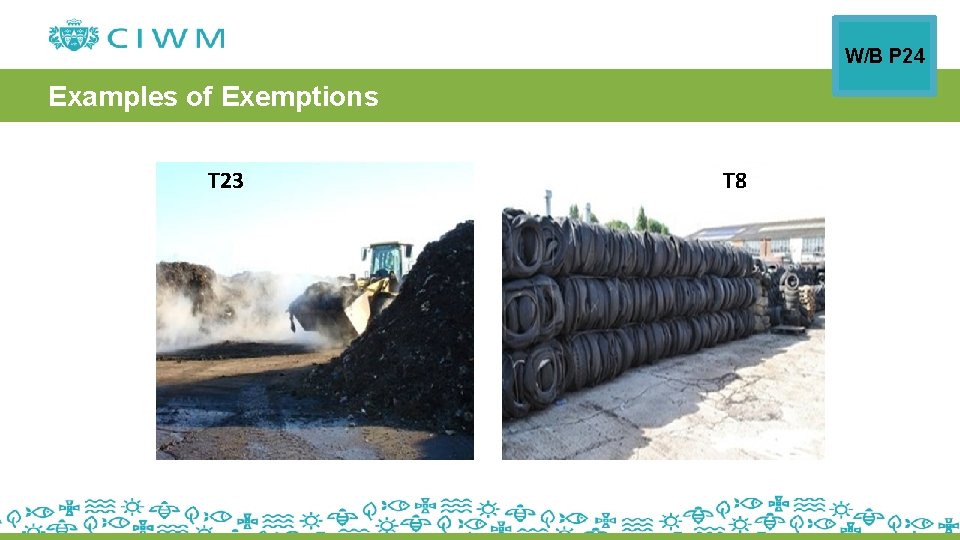 W/B P 24 Examples of Exemptions T 23 T 8 