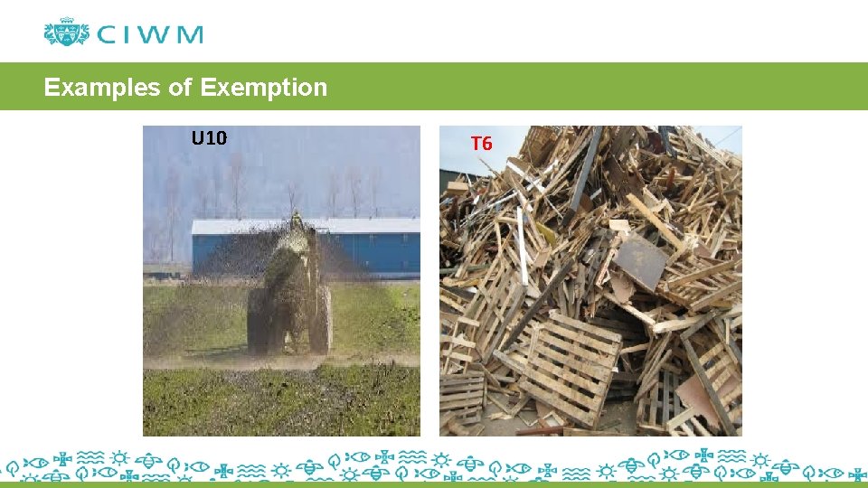 Examples of Exemption U 10 T 6 