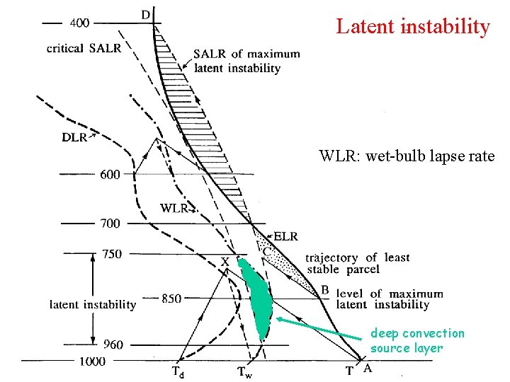 Latent instability WLR: wet-bulb lapse rate deep convection source layer 