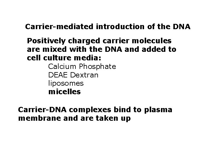 Carrier-mediated introduction of the DNA Positively charged carrier molecules are mixed with the DNA