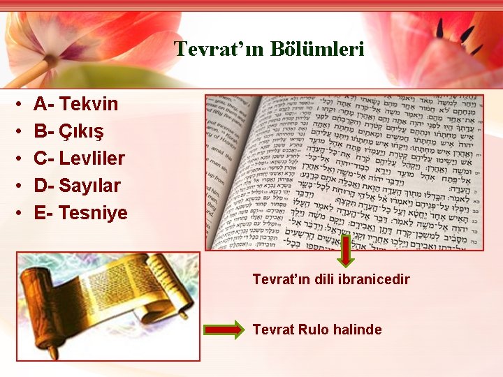 Tevrat’ın Bölümleri • • • A- Tekvin B- Çıkış C- Levliler D- Sayılar E-