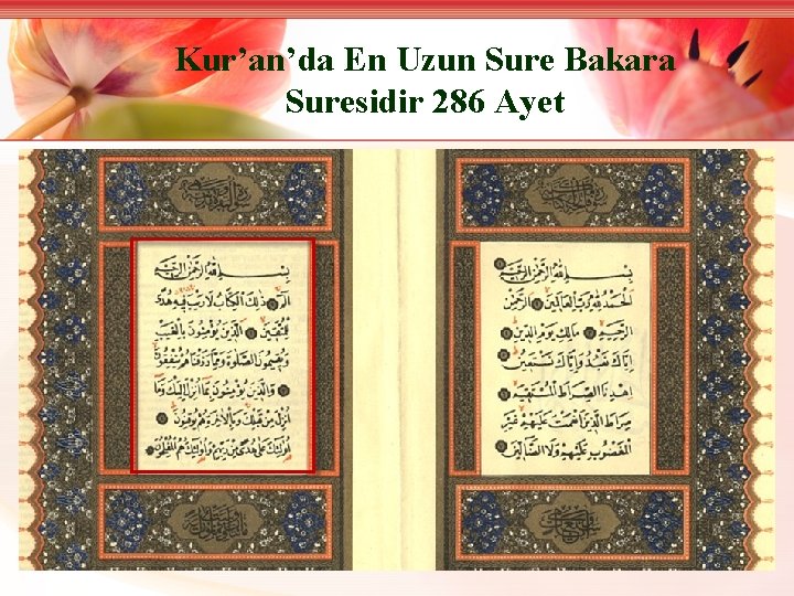 Kur’an’da En Uzun Sure Bakara Suresidir 286 Ayet 